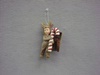 BL-LC5523 Nathan In Reindeer Costume Ornament