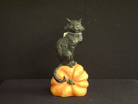 KK-40667B Cat Sitting on Pumpkin